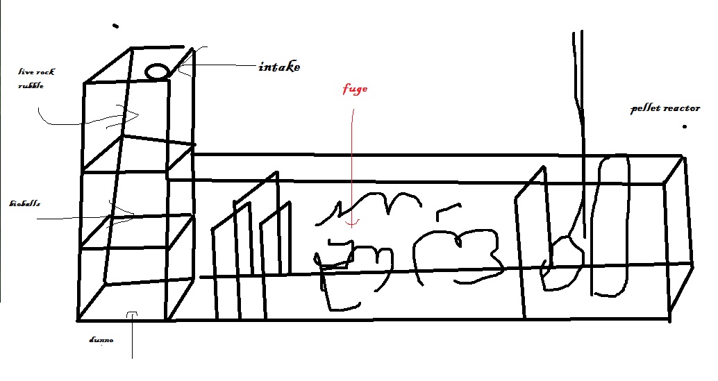 sump.jpg