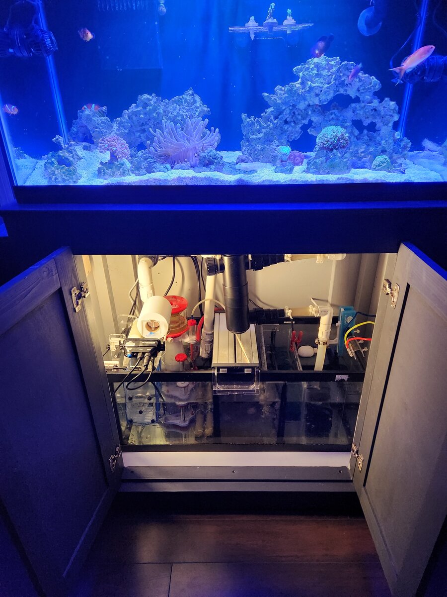 SUMP LIGHT.jpg