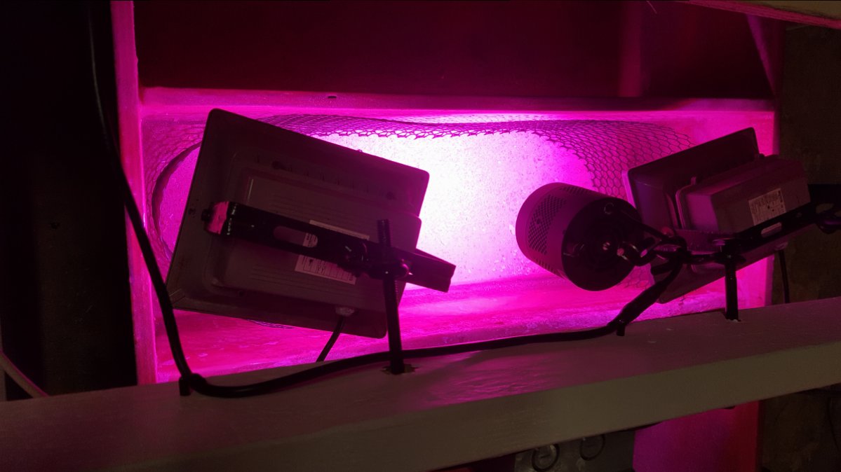 Sump lighting 1.JPG
