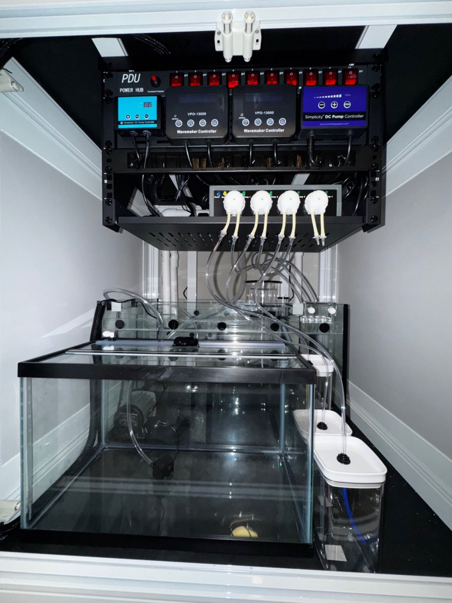 Sump:Rack:Doser1.jpg