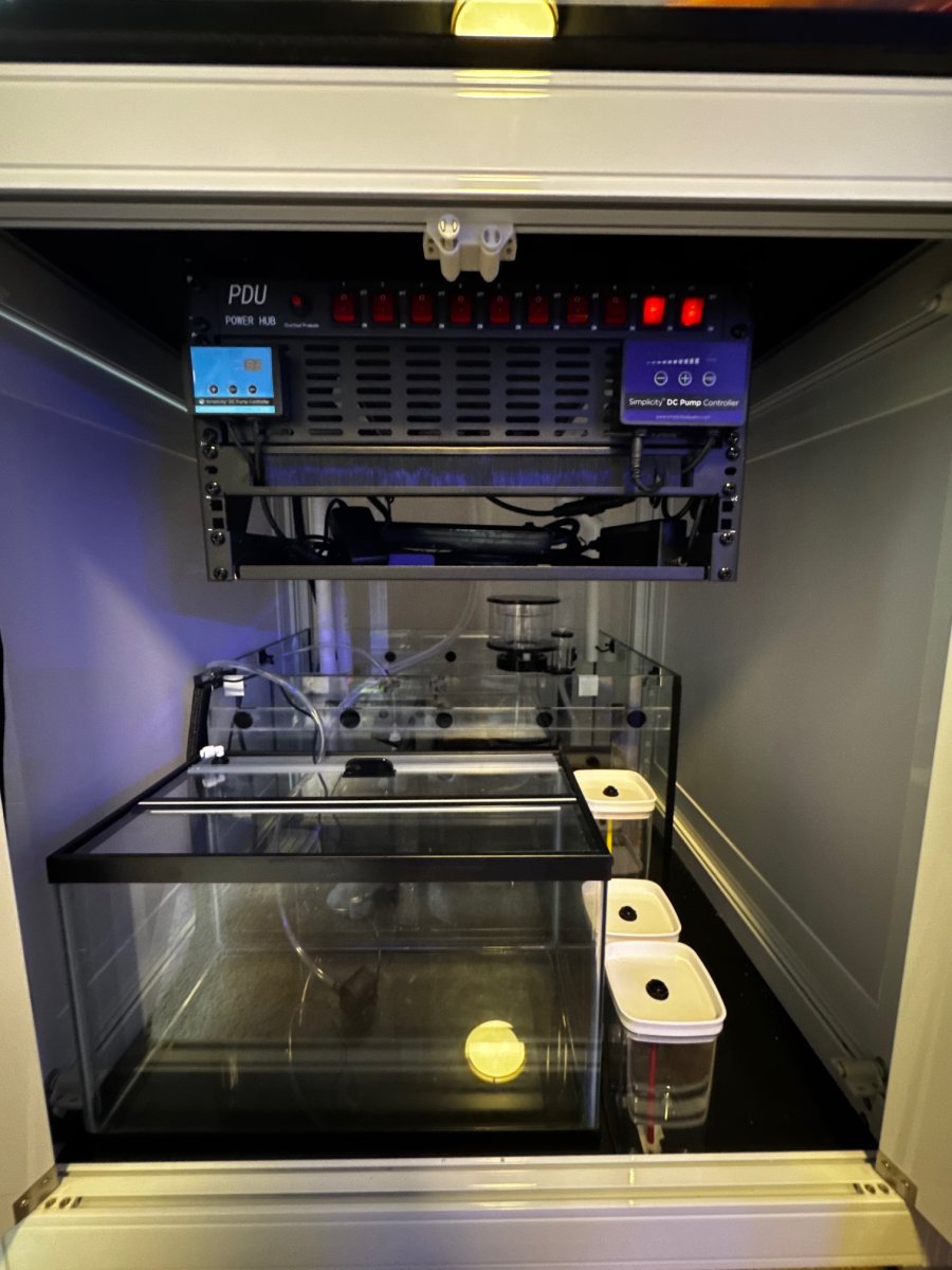 Sump:Rack1.jpg