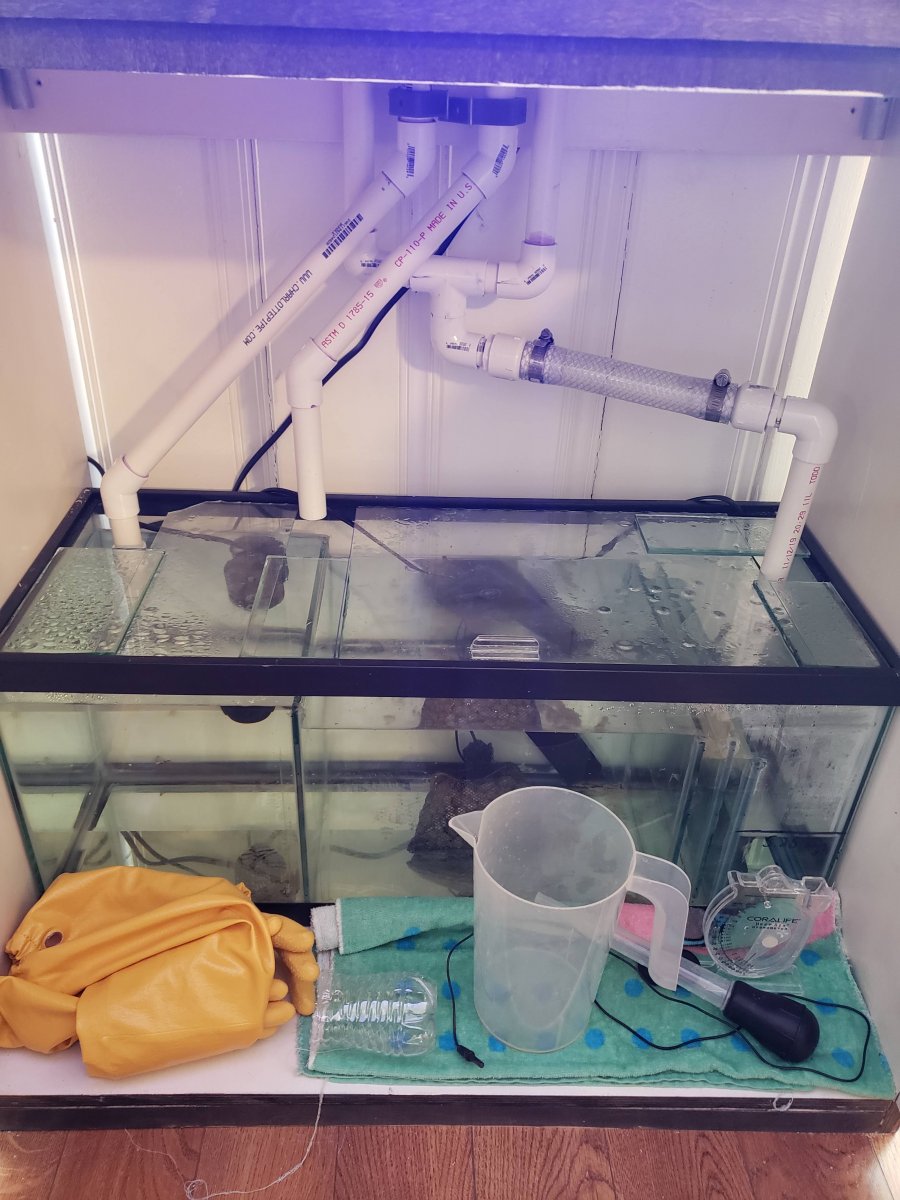 sump running.jpg