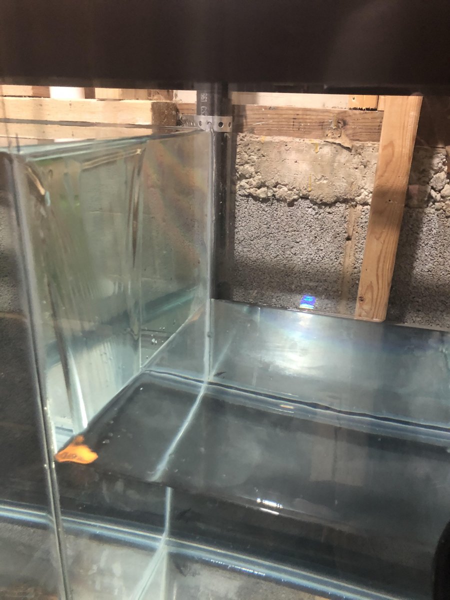 sump test 1.jpg