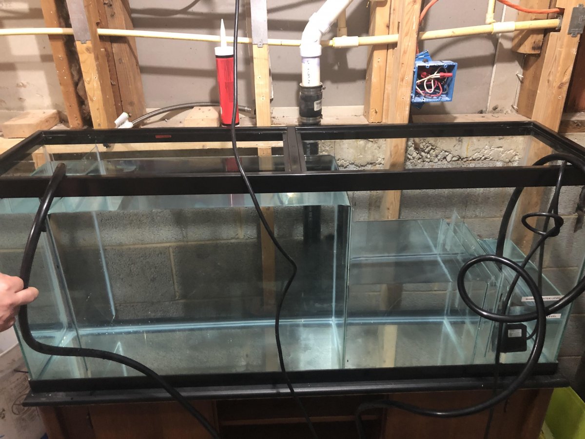 sump test 3.jpg