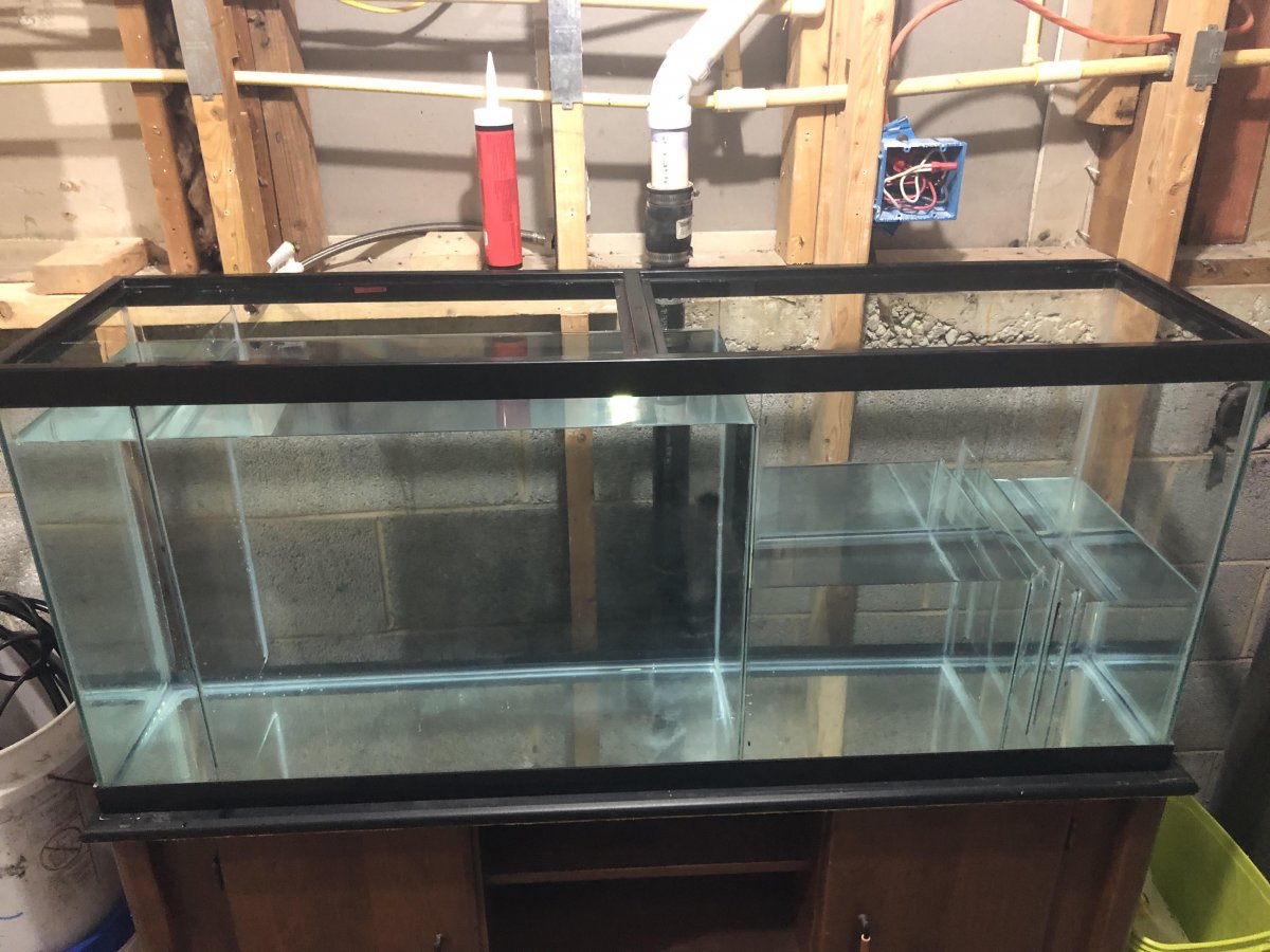 sump test 4.jpg