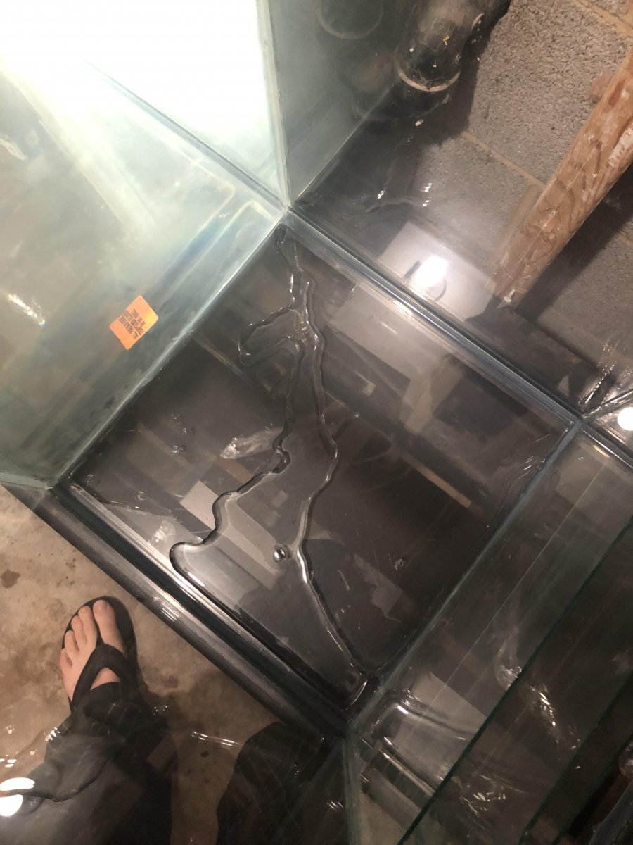 sump test 5.jpg