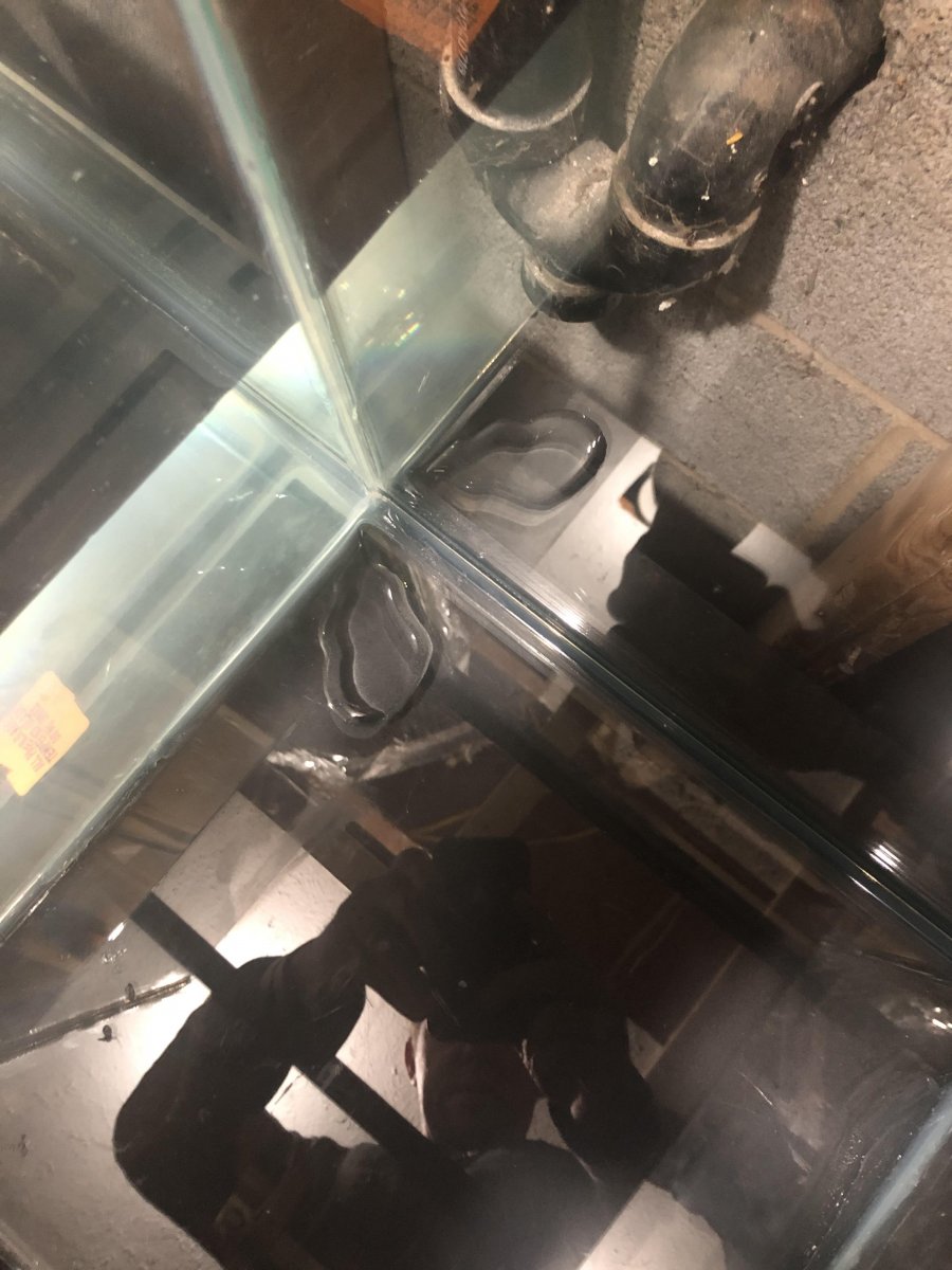 sump test 6.jpg