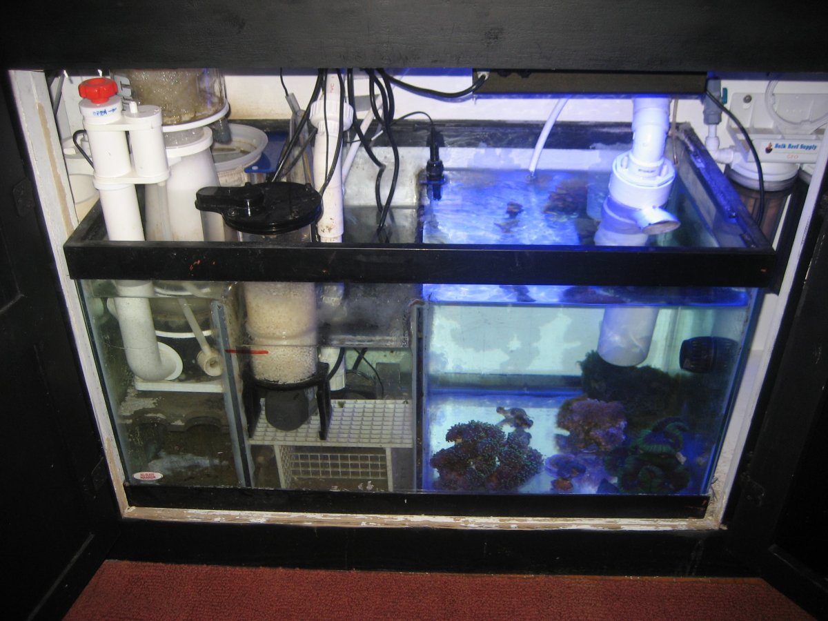 Sump with Biopellets.JPG