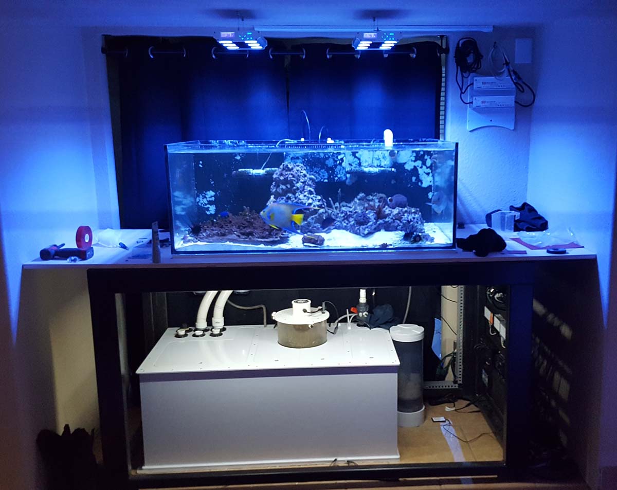 Sump1.jpg