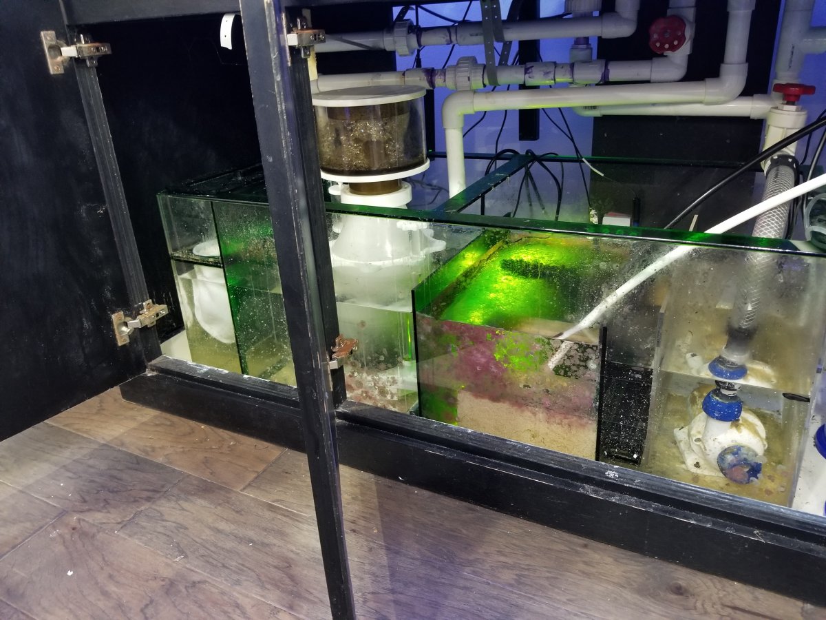 Sump1.jpg