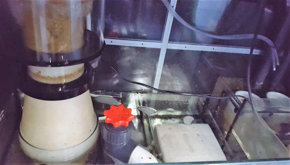 sump1.JPG
