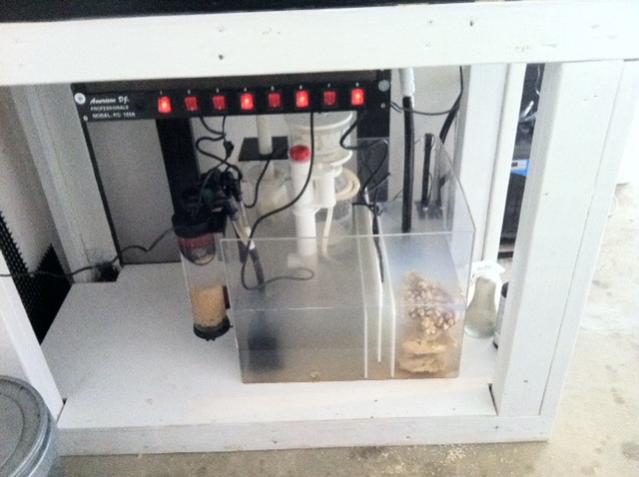 sump2.jpg