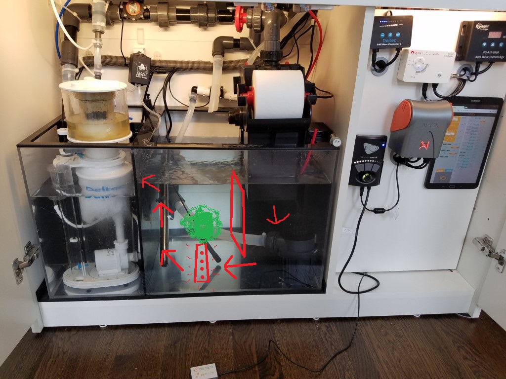 sump2.jpg