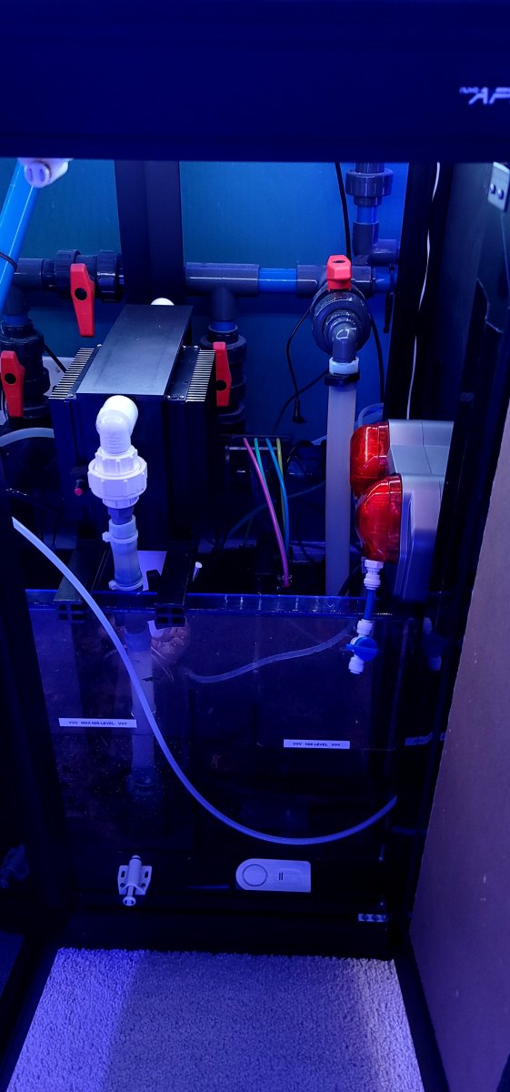 sump2.jpg