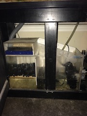 sump2.jpg