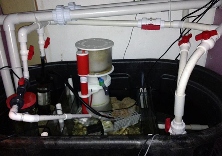 sump2012b.jpg