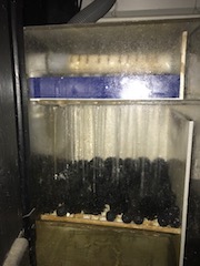 sump3.jpg