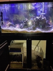 sump7.jpg