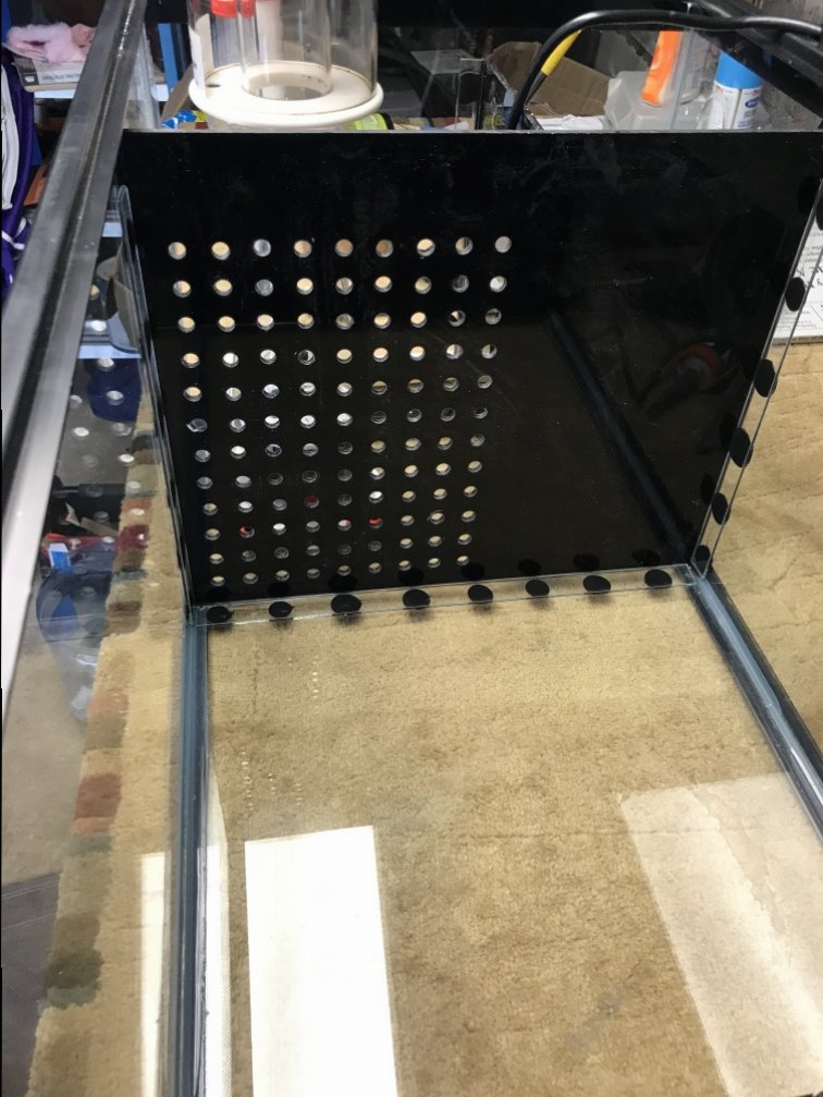 sump7.JPG