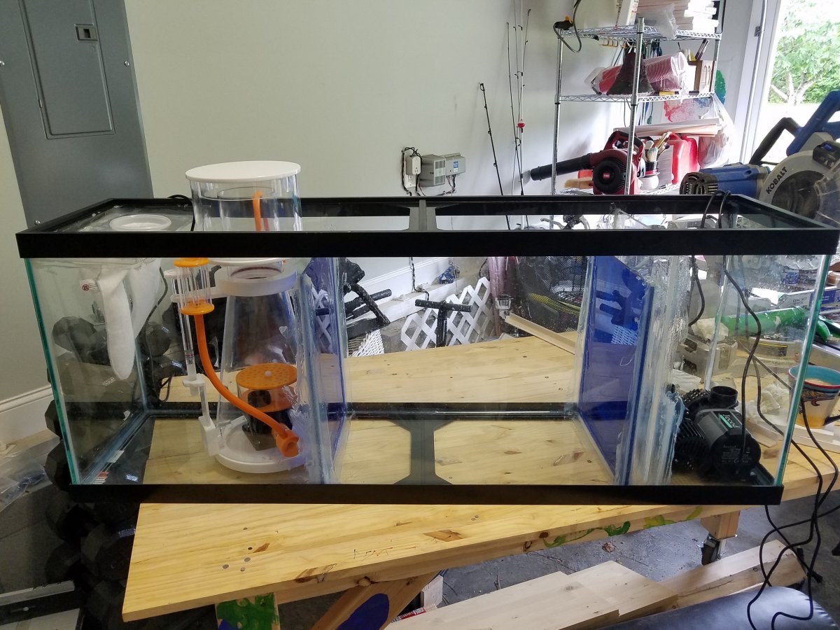 Sump_1.jpg