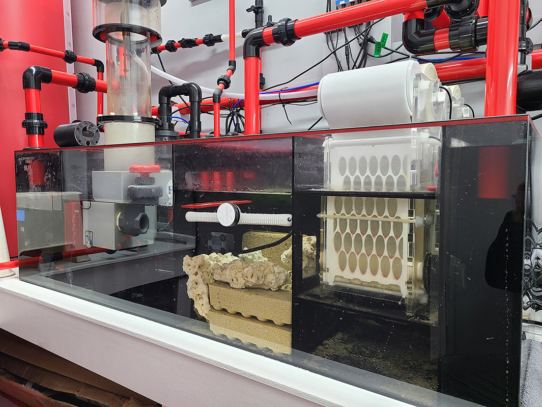Large Build - 270g FOWLR and Fish Room Build (image heavy) | Page 12 ...