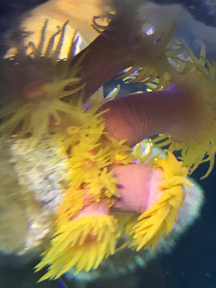 sun2.jpg