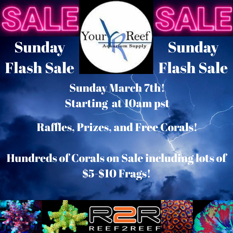 YourReef Sunday Flash Sale March 7th | REEF2REEF Saltwater and Reef ...