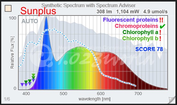 sunplus4.JPG