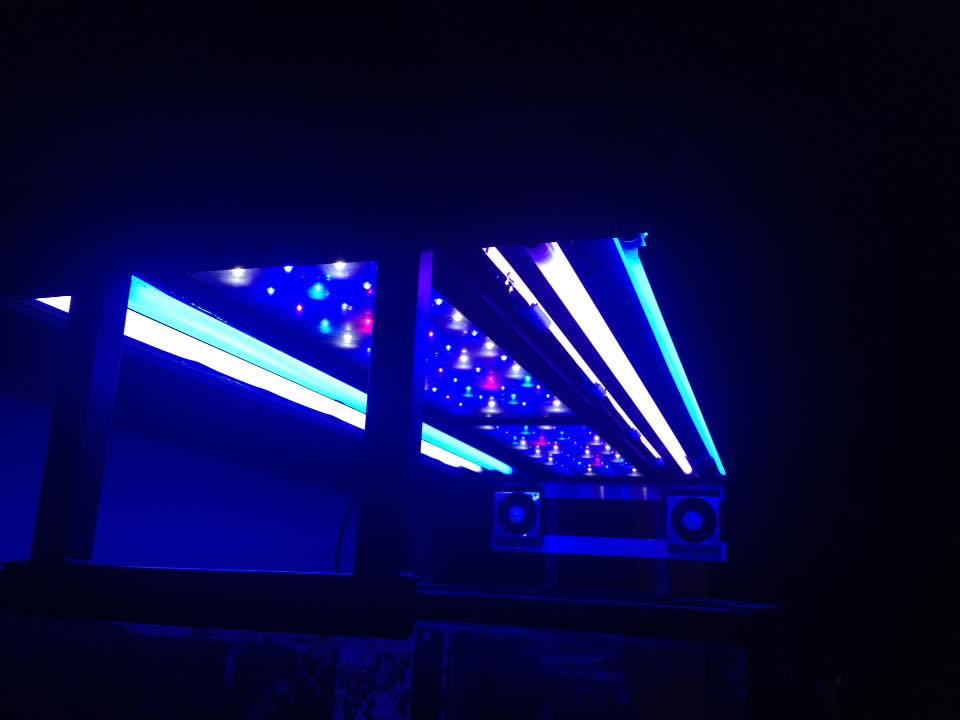 superlight3.jpg