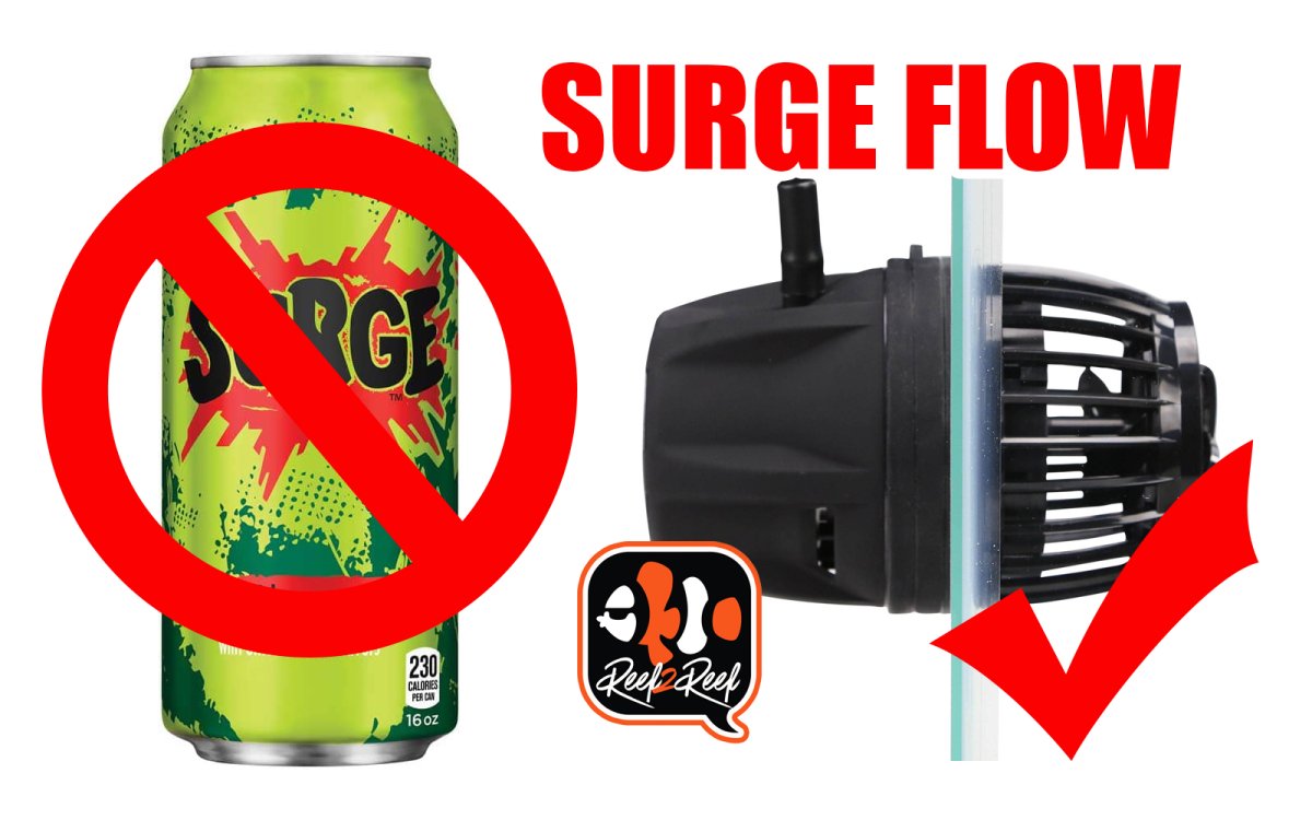 QUESTION OF THE DAY - Surge: Not just an old school soft drink but very  beneficial to your reef tank?
