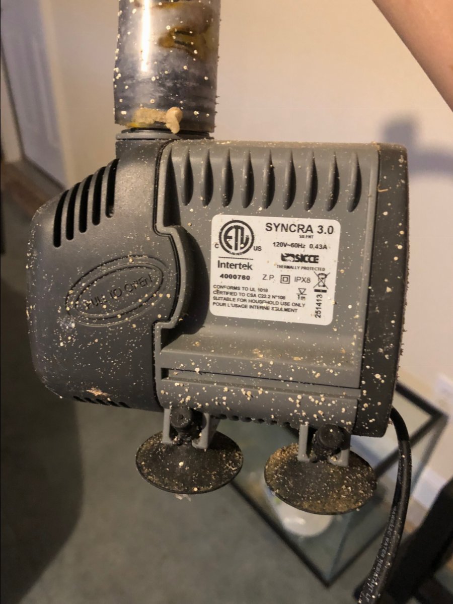 syncra-3-jpg.782222