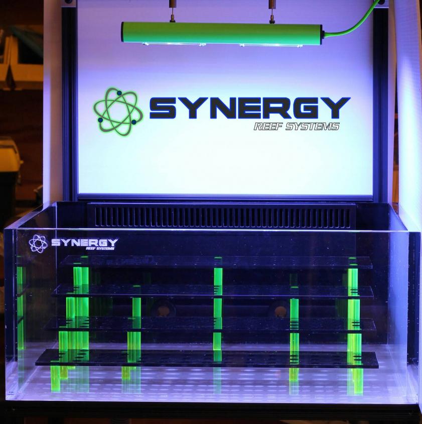Synergy-Reef-Systems-Show-Tank.jpg