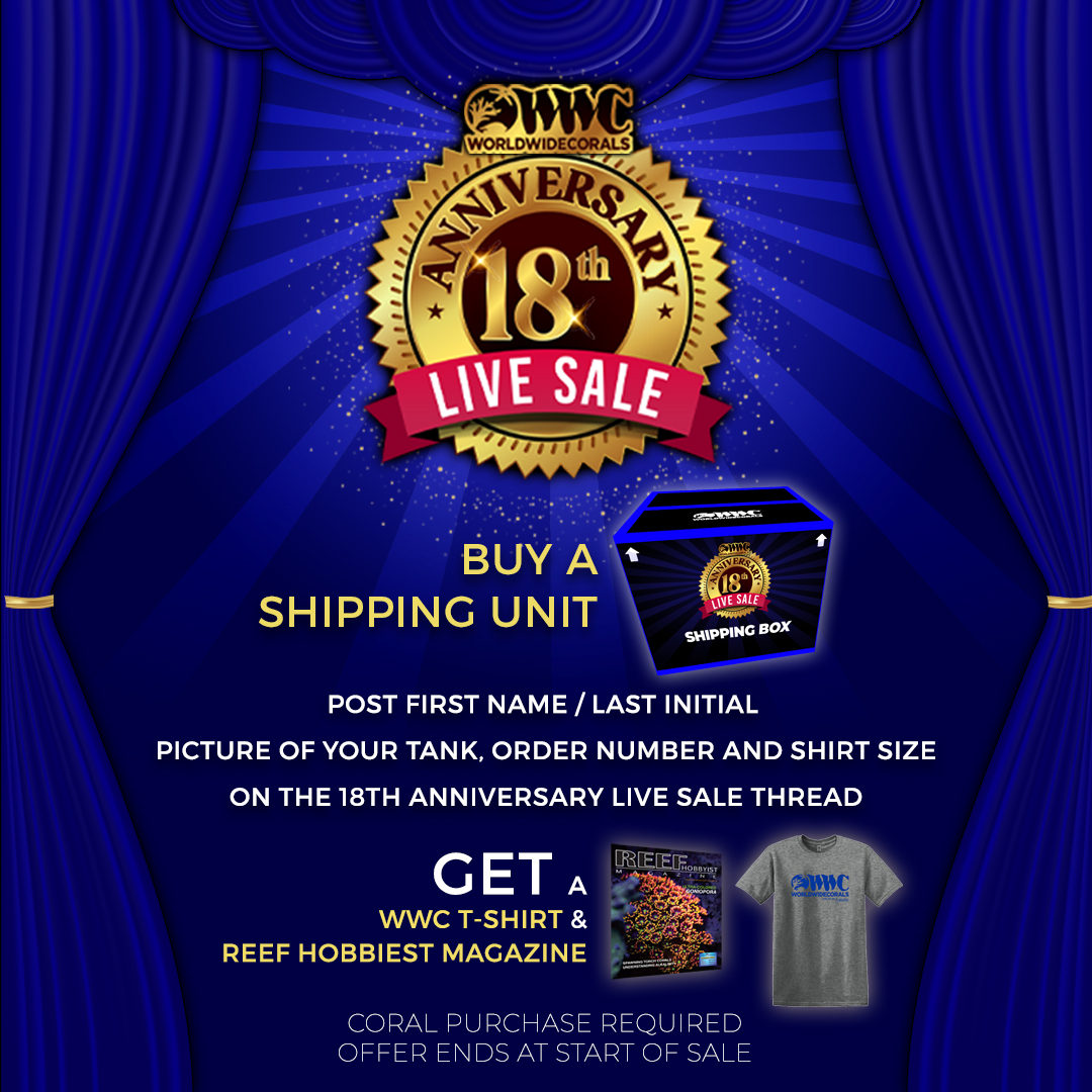 t-shirt.jpg