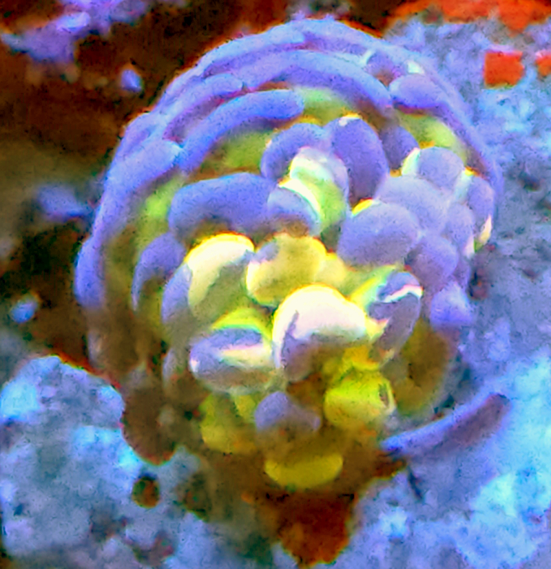 t3.jpg