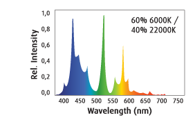 T5-bluewhite-041.png