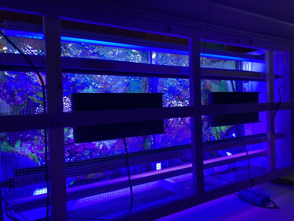 T5 Sunblaster Strips - AI Hydra HD and LED Strips on Brackets Craft Aquatic 120 Mixed Reef.jpeg