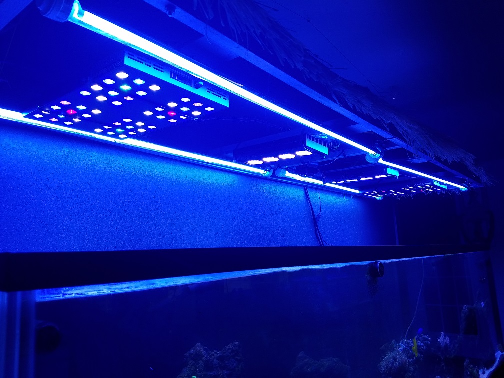 t5led2.jpg