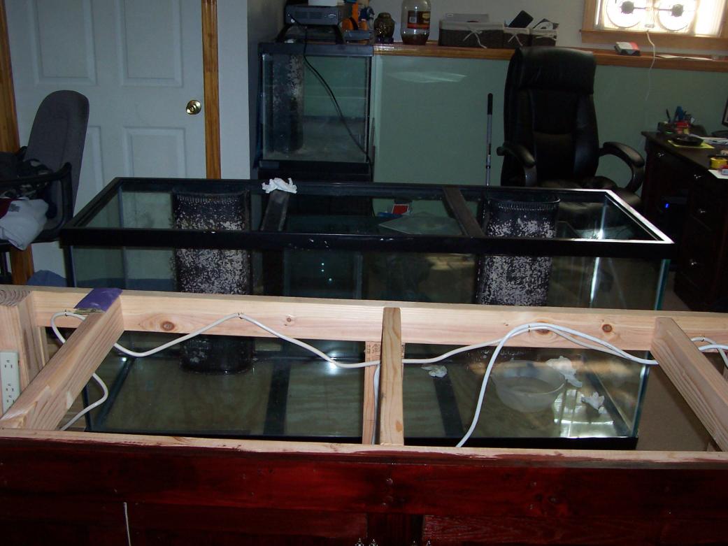 tank 005.jpg