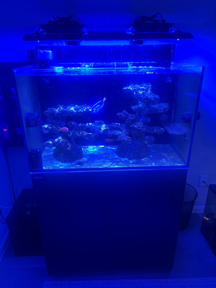 Tank 1.jpg