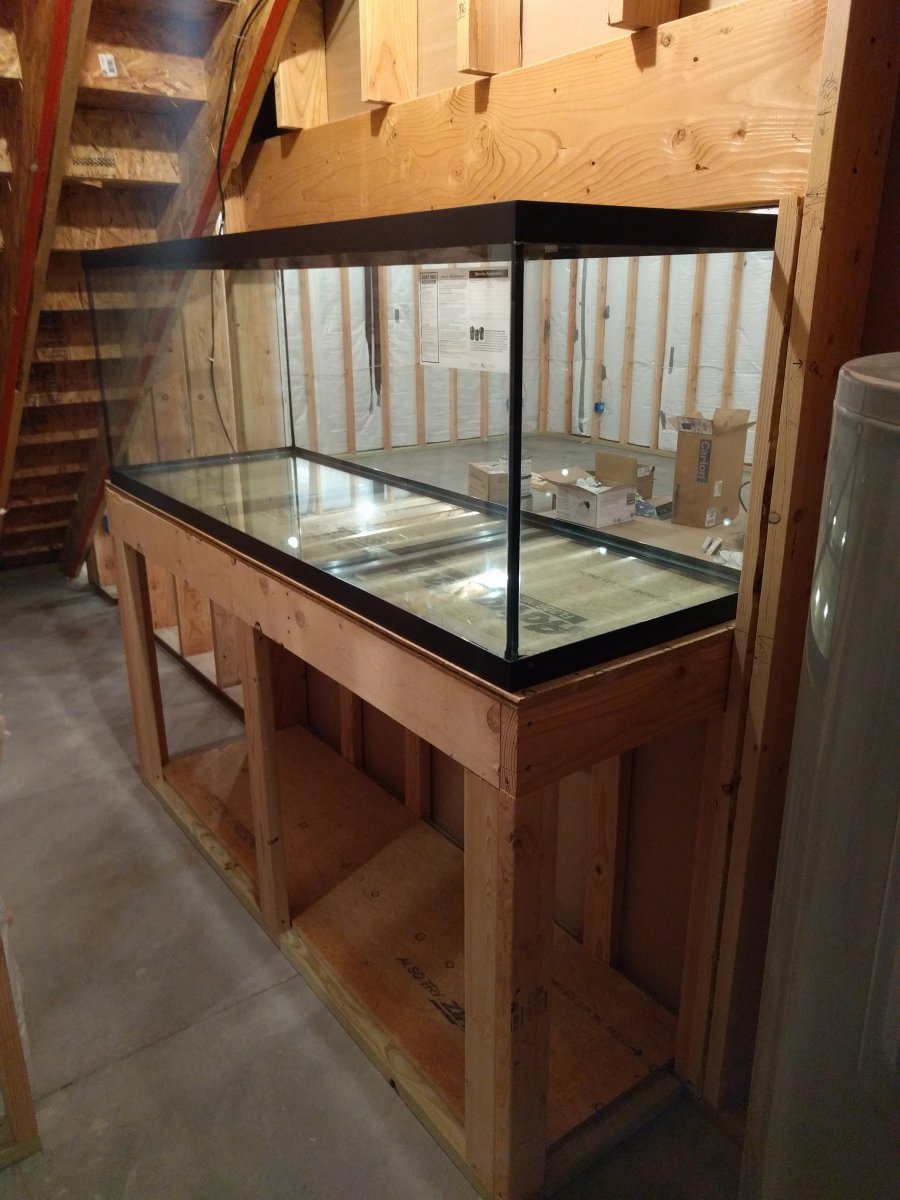Tank 1.jpg