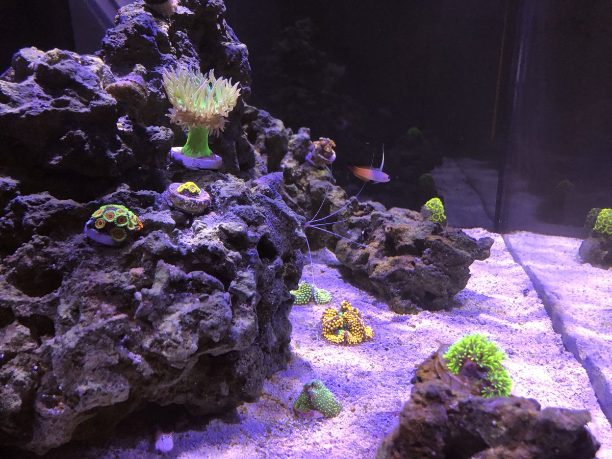 Tank 18 (28).JPG