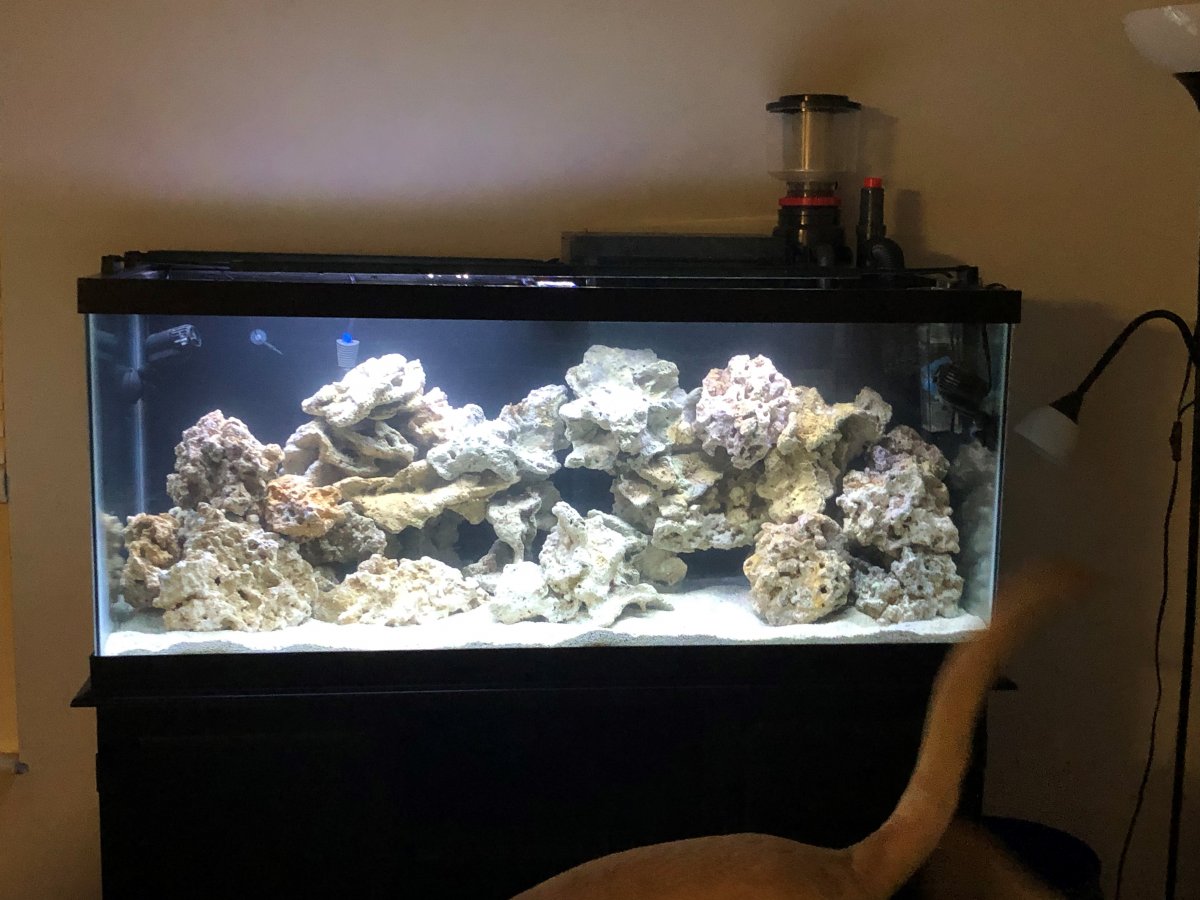 tank 2.jpg
