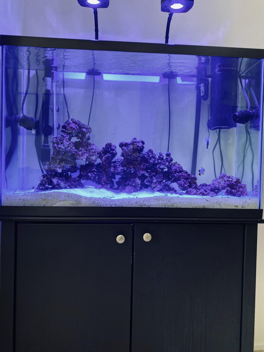 tank 2.jpg