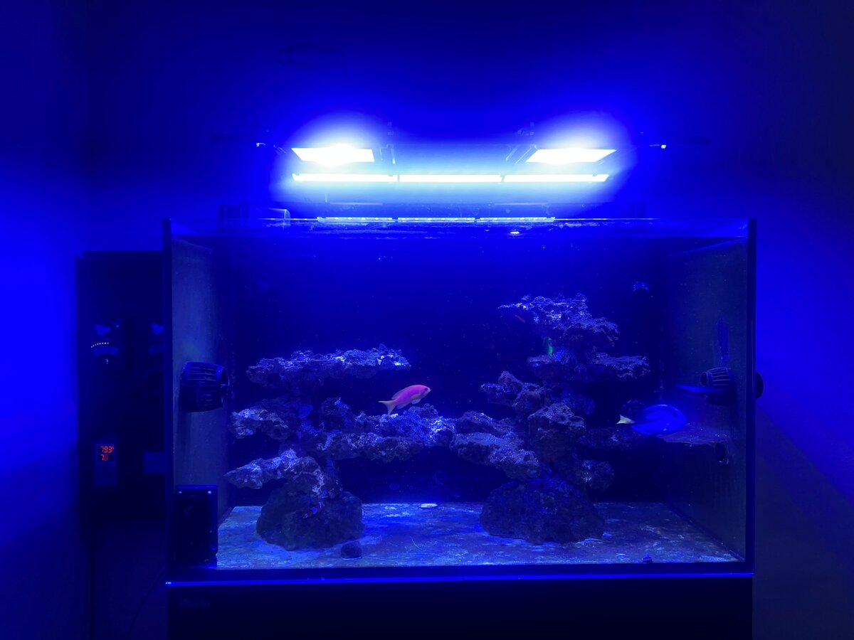 Tank 2.jpg