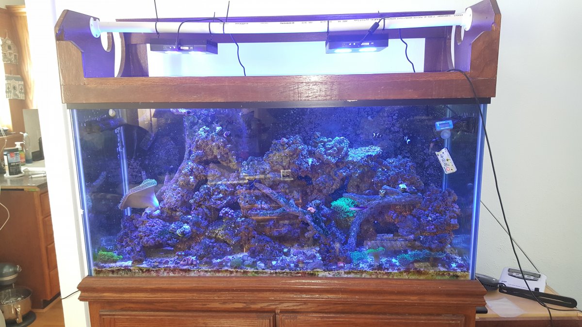 Tank 2.jpg