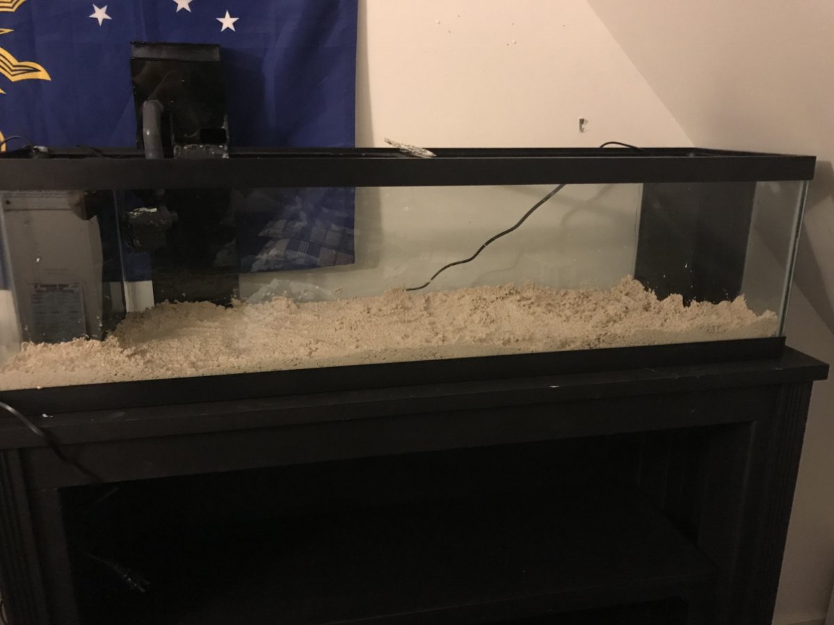 Tank 2.jpg