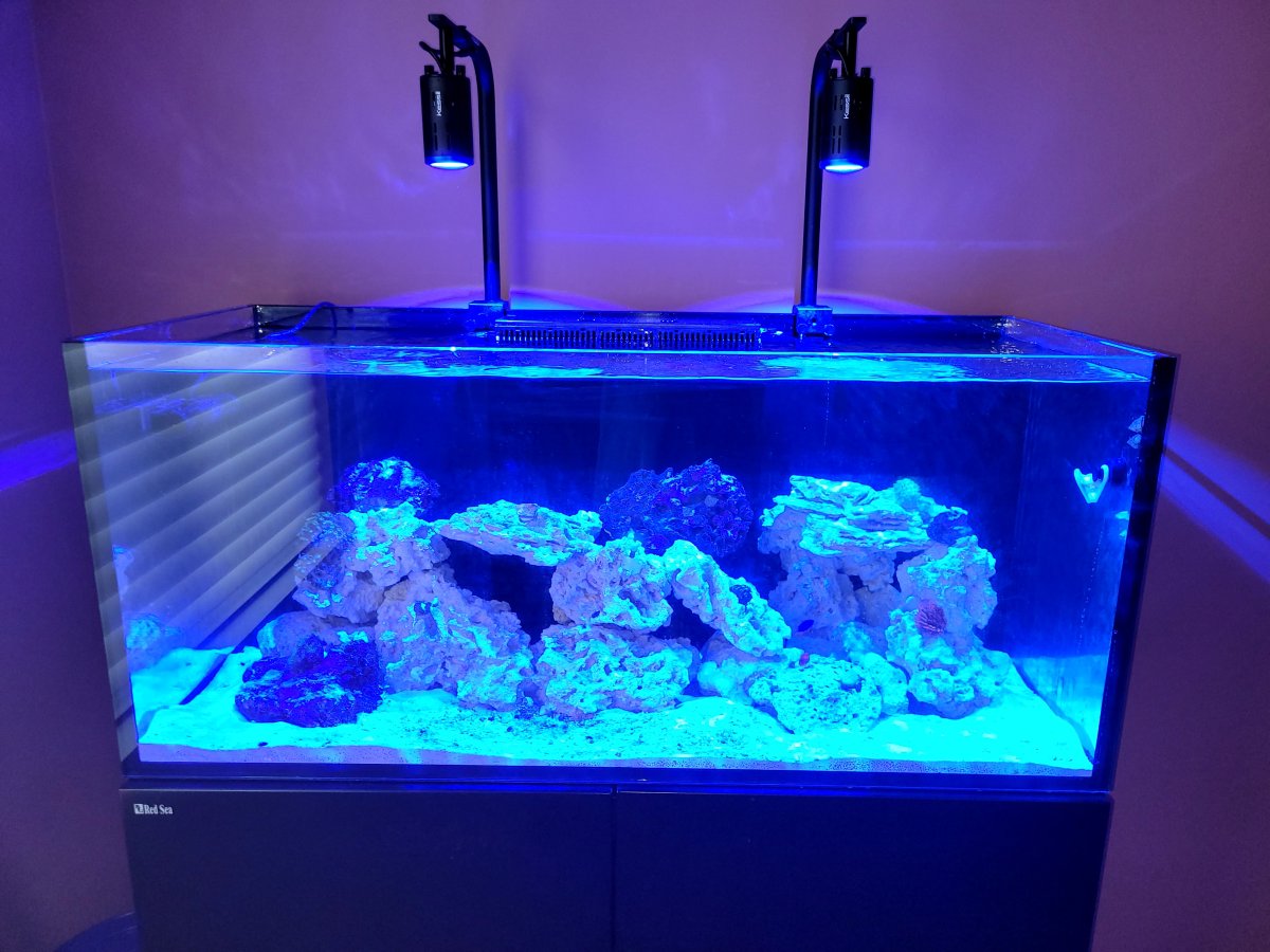 Build Thread - Keith’s Reef- Red Sea 350 G2 | Page 4 | Reef2Reef