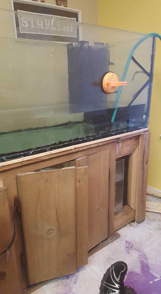 tank 7.jpg