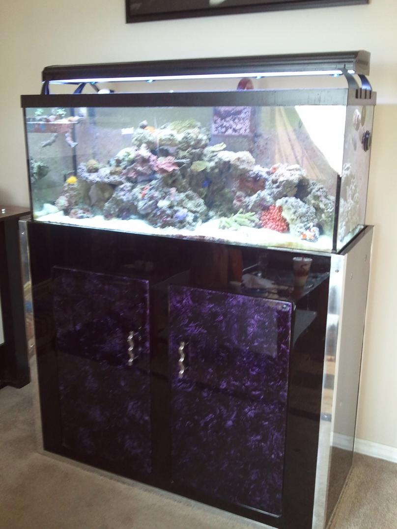 tank 8.jpg