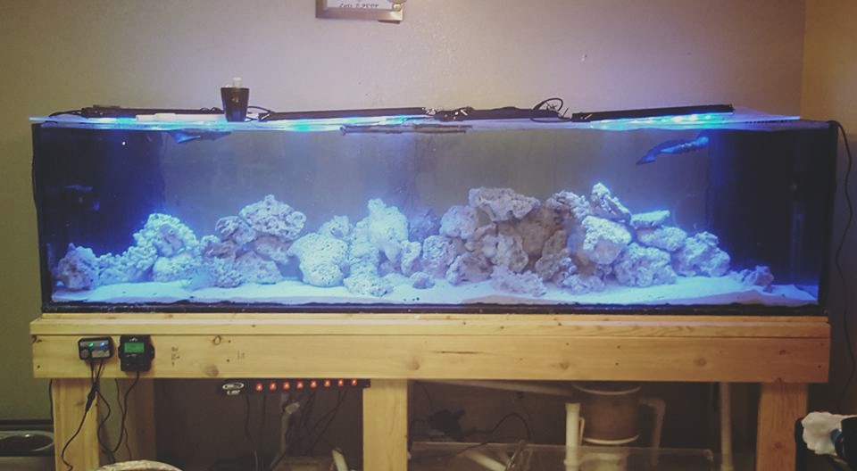 tank 9.jpg